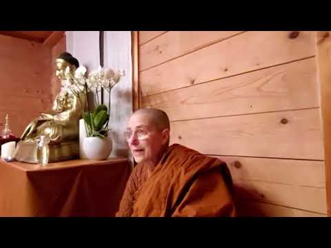 Die 16 Stufen der Einsicht  - die Praxis mit Vipassanā-ñāṇas, Teil 1, 08.01.2026