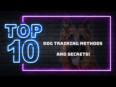 Canine Evolutions video.