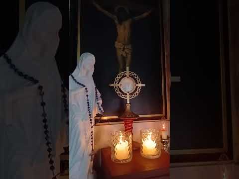 Adoracion Al Santisimo Sagramento del Altar con el Padre Fabian Esteban Oliva. 07/08/26
