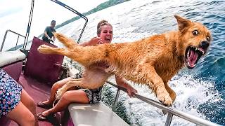 ANIMAIS VS. ÁGUA 😂 NOVOS ANIMAIS DIVERTIDOS 2026