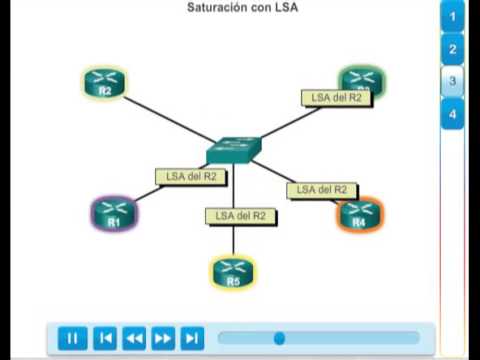 36) 8.1.3.3 DR y DBR OSPF 3