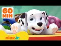PAW Patrol Marshall S Silliest Moments 1 Hour Compilation Nick Jr