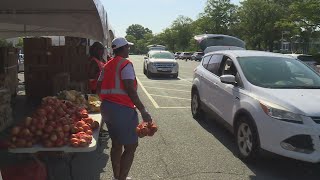 Over 800 military families receive food during annual distribution event at Military Circle Mall