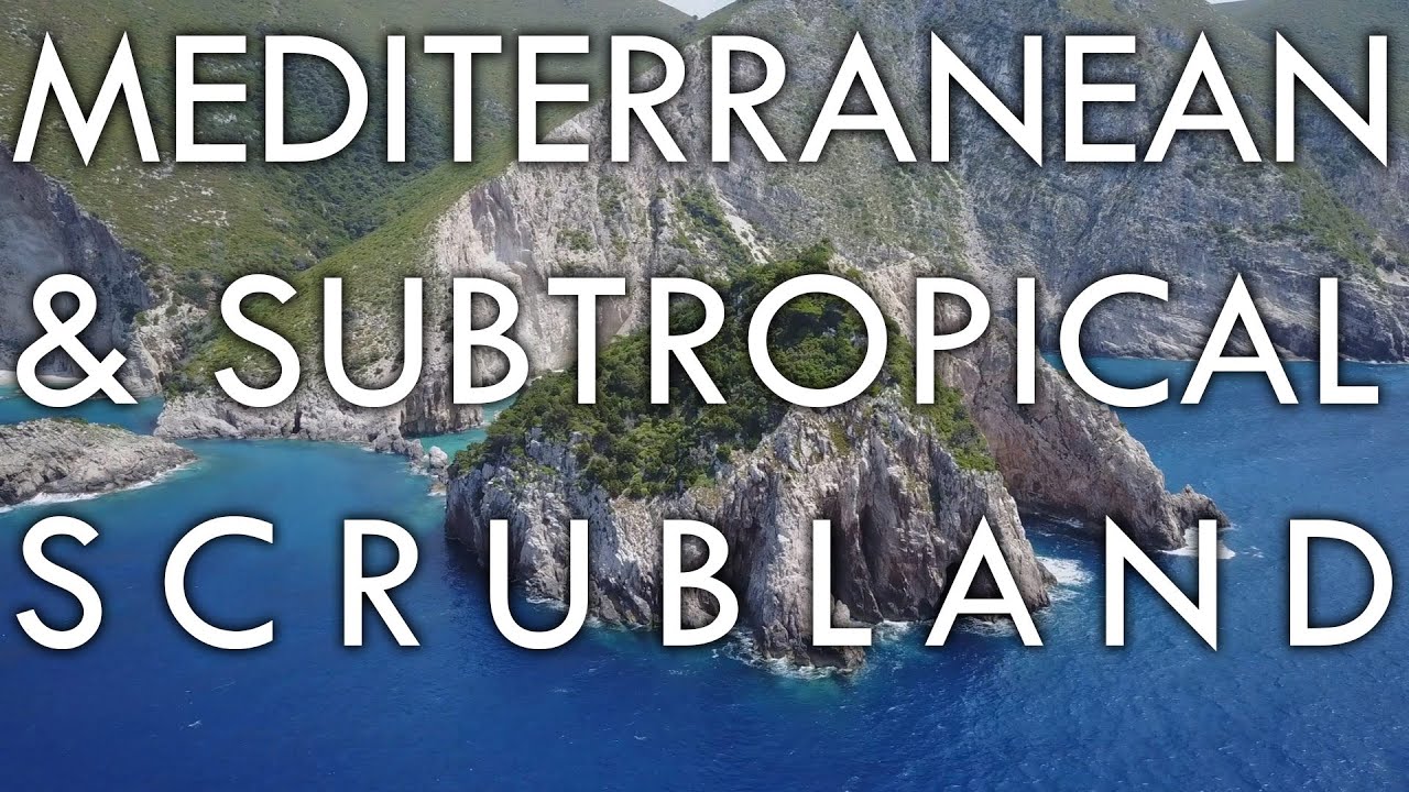 The Scrub Biome or Shrubland Biome - Biomes #3