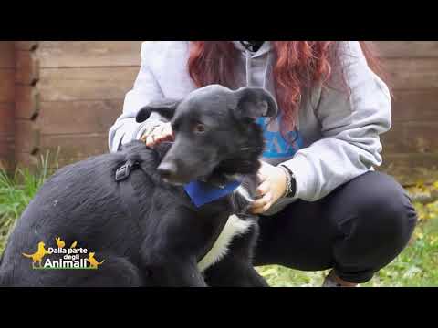 PUNTATA DEL 27 GIUGNO, ADOZIONE 1: MOROCHO