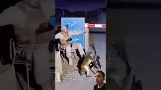 Macaco Apronta com o Fuzil! 😳💥🐒 [IA]