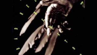 Bad Religion - Heaven Is Falling (Bonustrack)