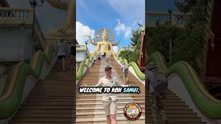 🚢🌍 2026 Global Cruise Series, Asia, Pacific & Beyond