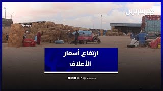 العيون.. ارتفاع أسعار الأعلاف يهدد بأسعار مرتفعة للأضاحي في العيد thumbnail