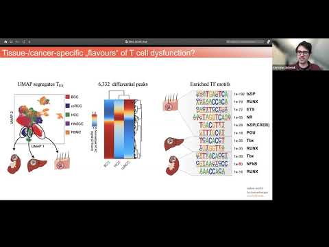 SCOG Virtual Lecture Series - Christian Schmidl (Leibniz Institute for Immunotherapy, Regensburg)