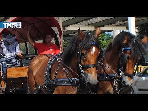 Titanen on Tour in Polen angekommen