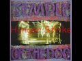 Temple of The Dog - Hunger Strike (lyrics) 