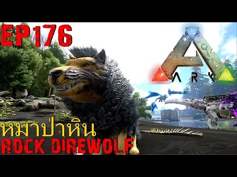 BGZ - ARK: Survival Evolved EP#176 จับหมาป่าหิน Badass Rock Direwolf