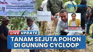 Program Reses 2025, Senator Papua Carel Simon Suebu Tanam Sejuta Pohon di Kaki Gunung Cycloop