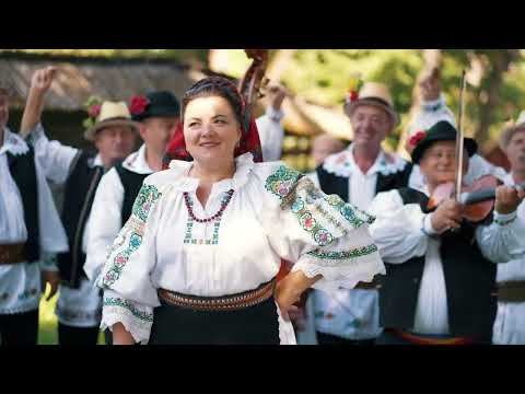 Ana Ilca - Pe cărarea de la moară