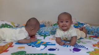 Download lagu Balita Lucu Main Gunting Batu Kertas  Lagu Anak Populer 2021 mp3 Download lagu Balita Lucu Main Gunting Batu Kertas  Lagu Anak Populer 2021 mp3