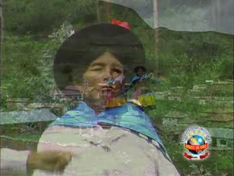 ME DESPRECIAS POR MI POBREZA -♫♫ PALMAYOC CANIPACO ♪♪