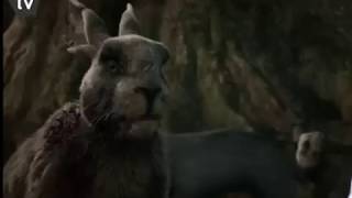 Watership Down:Woundwort&#39;s Death (2018 Series)