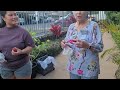 Guam BBQ From Ray Sam And Zack 1