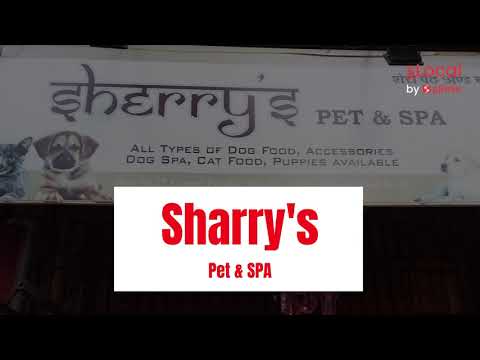 Sharry's Pet & SPA