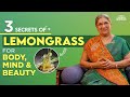 Amazing Benefits & Uses of Lemongrass for Body, Mind, & Skin | Lemongrass Benefits