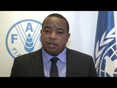 Remarques de H.E. Anthèlme Ramparany, Ministre de l'élevage de Madagascar