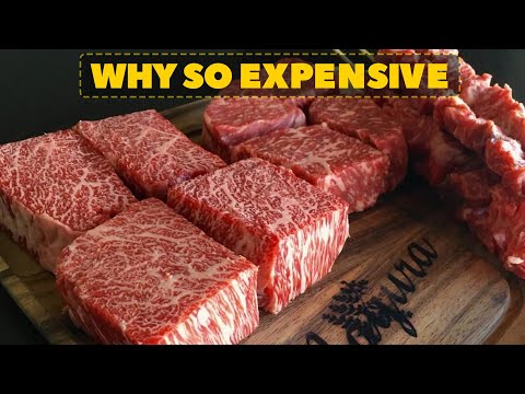 Why Wagyu Beef Is So Expensive | Mystery Box