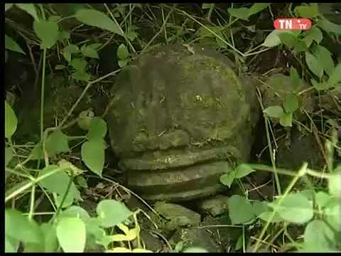 Laurent Degache - Ua taui te tau (Clip Officiel)