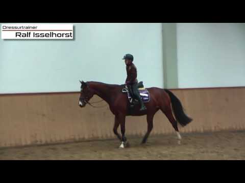 www.dressurtrainer.de die Fussfolgen kinderleicht erklärt