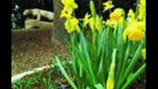 big ship- cliff richard