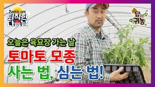 돈 조금 아끼려다 후회하지 말고, 모종 살 때는 이렇게 하세요