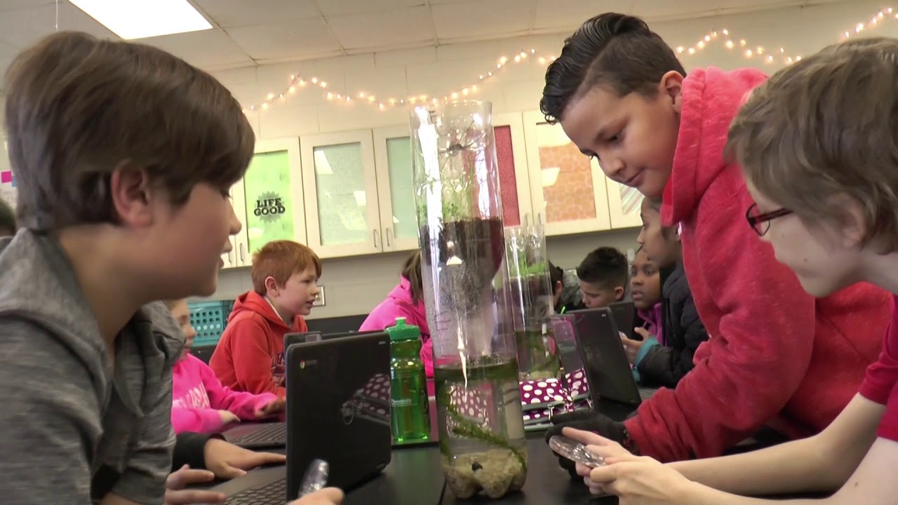 Come Grow With Us: Teaching at Berkeley County School District is not a job, it's an experience