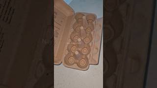 Você Joga Fora Caixas de ovos?  Recicle com CRIATIVIDADE