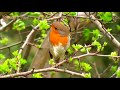 Kullu Nafsin Zaaiqatul Mout WhatsApp Status