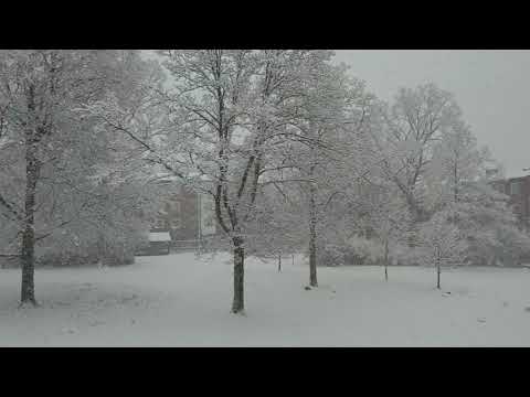 Perstorp  2021 _01_13