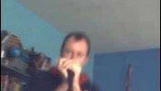 Re: help me harmonica sonny boy williamson