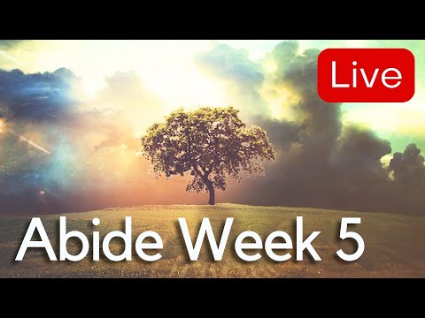 Abide Week 5 Full Service 8-13-23