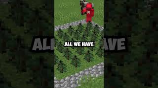 Spruce Instead of Oak Trees