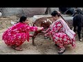 I Took Away All The Milk From The Poor Girl Aliza Sehar