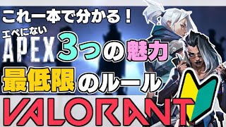 今からでも遅くない！Apexにない3つの魅力＆今から始められる最低限のルールを解説【 VALORANT 解説 / ヴァロラント 】