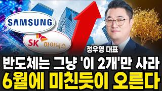 반도체는 그냥 '이 2개'만 사라 6월에 미친듯이 오른다 (정우영 대표 / 증시임당)