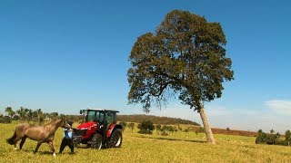 Miniatura do vídeo