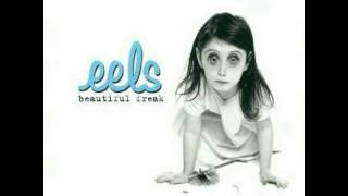 Eels No Ready Yet