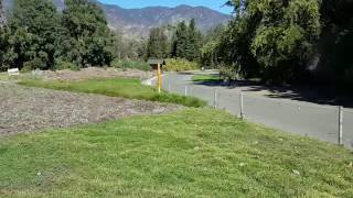 Finding a Walk on Carpet Like Lawn