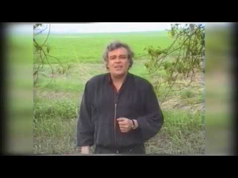 Slobodan Domaćinović - Šoferi