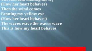 Feist - How My Heart Behaves Lyrics