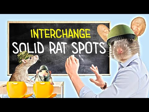 Rat school Interchange off meta spots