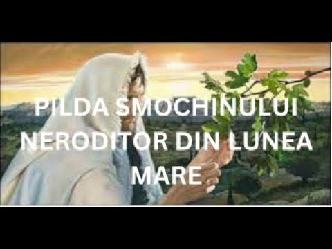 PILDA SMOCHINULUI DIN LUNEA MARE