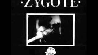 Zygote - Scarred