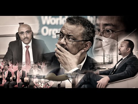 EMN NEWS - Tigrigna for 29 June 2020 | Eritrean Media Network